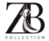 zb logo removebg preview